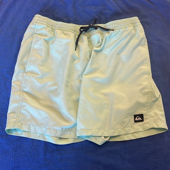 Quiksilver Everyday Volley / Swim Shorts - XL (Light Green) - Picture 2 of 4